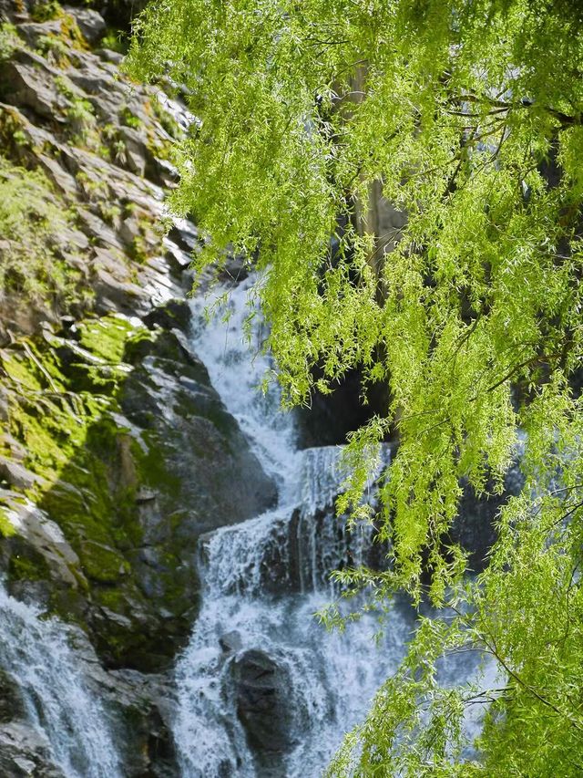 翠華山·秦嶺終南山世界地質公園
