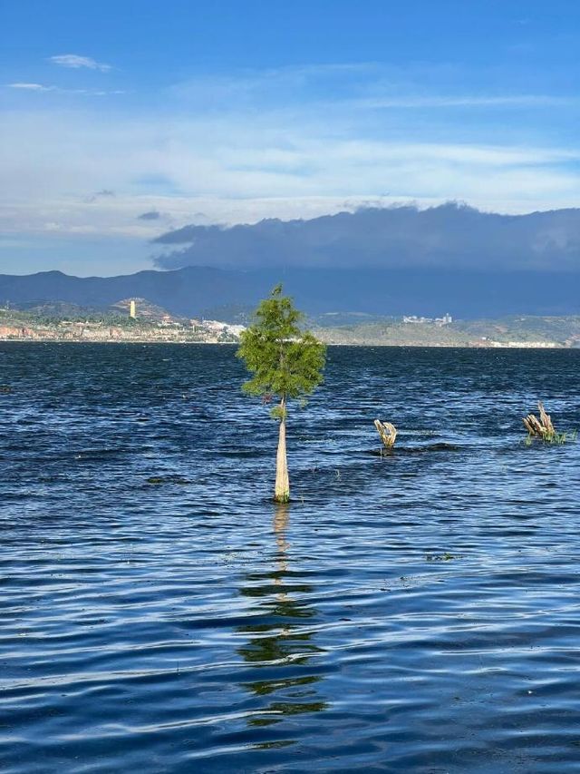 蒼山藏起心事，洱海接住眼淚