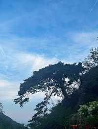 暴走速登泰山