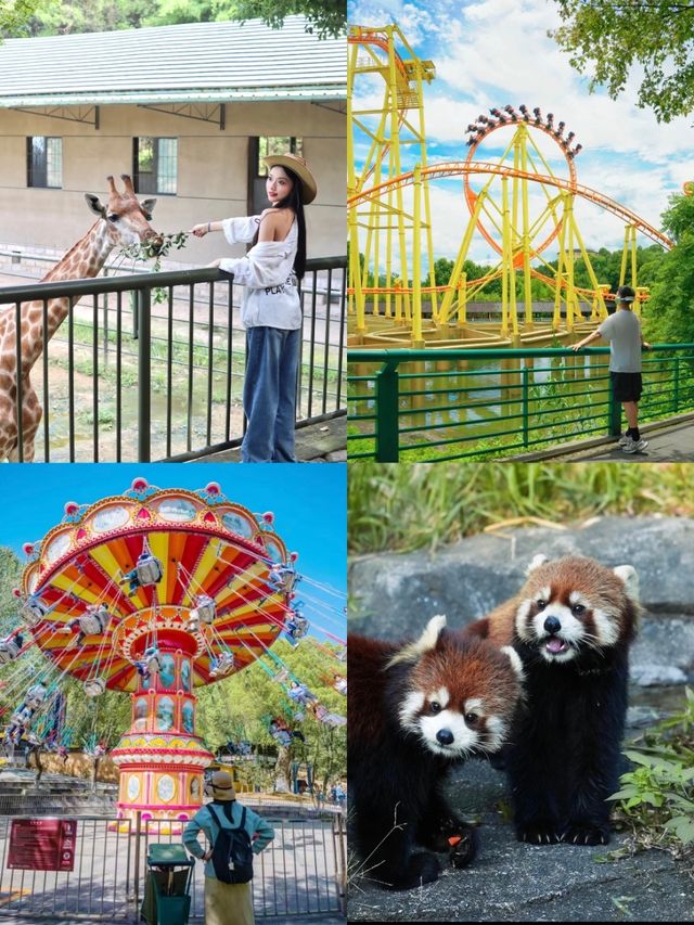 安吉2日1夜旅遊攻略 冰爽到尖叫