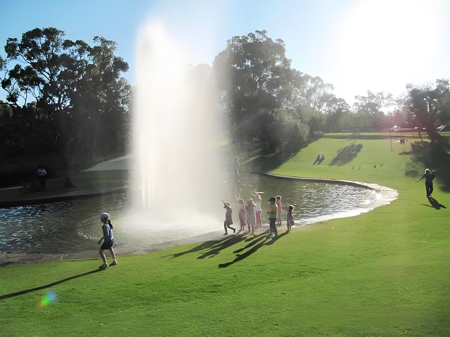 珀斯 | 都會與自然的碰撞-國王公園