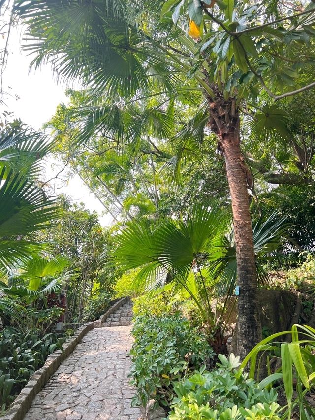 香港出發至澳門螺絲山公園交通攻略 