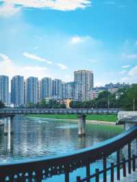 合肥南淝河漫遊｜喺護城河邊遇見宮崎駿嘅夏天