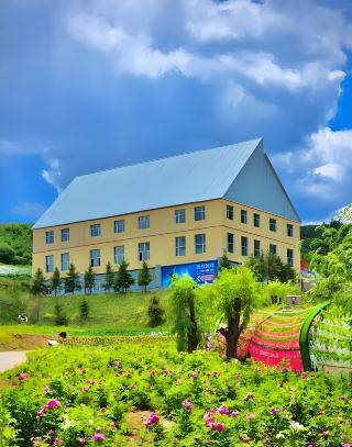 Minhe Hui and Tu Autonomous County｜Explore Qinghai's Little Jiangnan and Eat Yak Meat Until Full! Recommended Reasons Qinghai's Little Jiangnan! Pear Blossoms Cover the Hills Hui and Tu