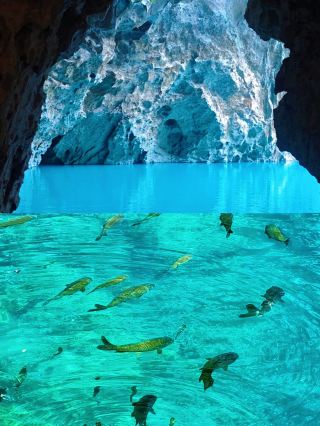 "Step into a Fairyland! Xiaqikong's Tiffany Blue, a 25°C Summer Escape!"