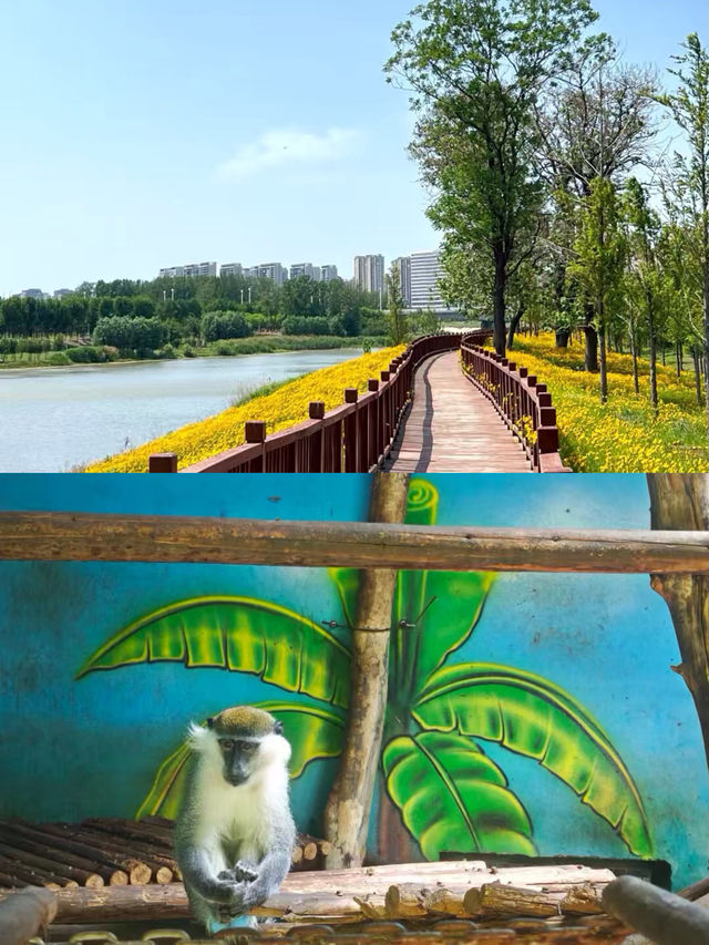 周口之旅返嚟，捱夜總結出嚟嘅攻略。