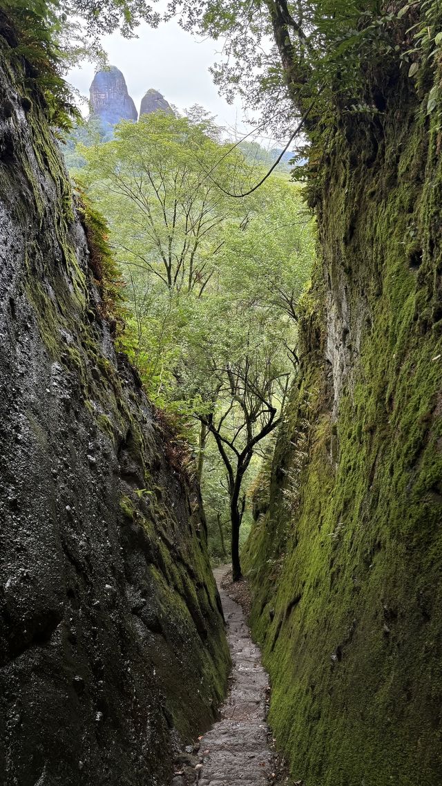 武夷山5天4夜深度遊｜食住玩全攻略避坑指南