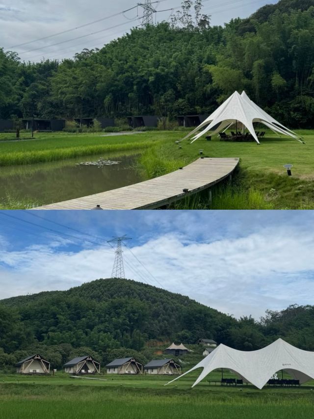 廣州增城山野露營小院已經next level～