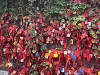 Tangjia Old Town’s treasures
