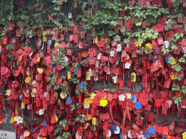 Tangjia Old Town’s treasures