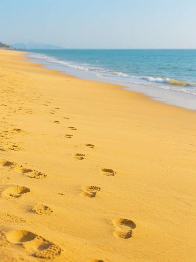 廈門睇海圖鑑 浪裏面全部係甜