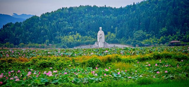 【夏日賞荷】南平五夫：朱熹故里，邂逅盛放的千畝紅蓮