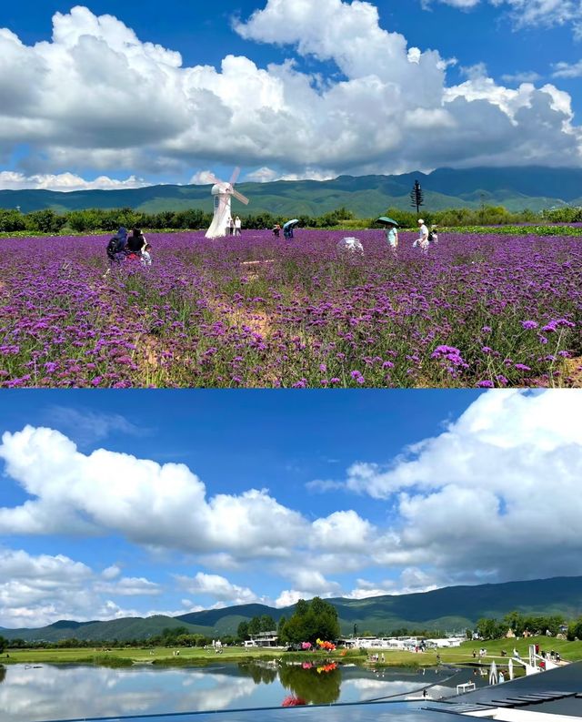 解鎖拉市海茶馬古道的滿分一日體驗