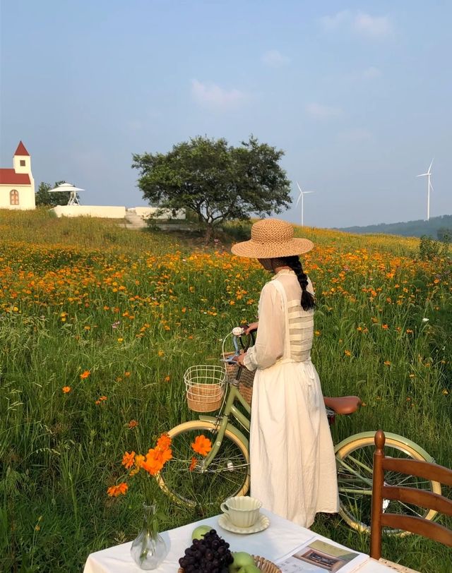 廈門田園風，住呢度太正啦