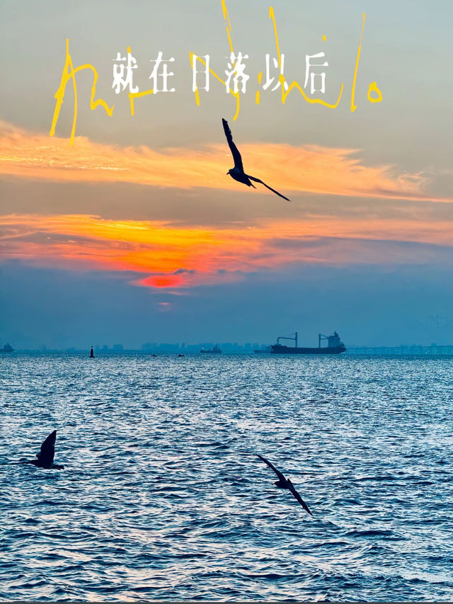 聽孫燕姿演唱會，遇見日落以後的青島