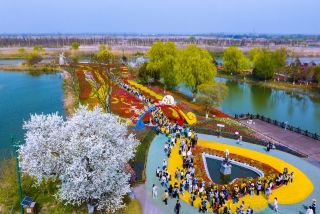 The Ultimate Travel Guide to Suqian Hongze Lake Wetland Scenic Area – Just Follow and Enjoy!