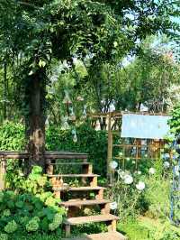 【昆明斗南新晉秘密花園|闖入莫奈油畫世界】