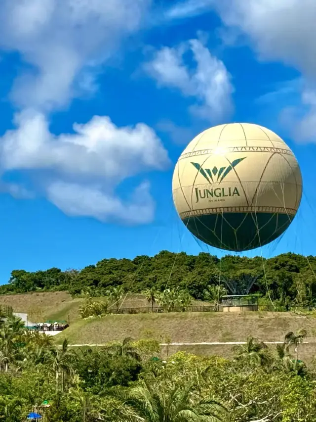 Okinawa JUNGLIA Jungle Park: A Paradise for Adventurers