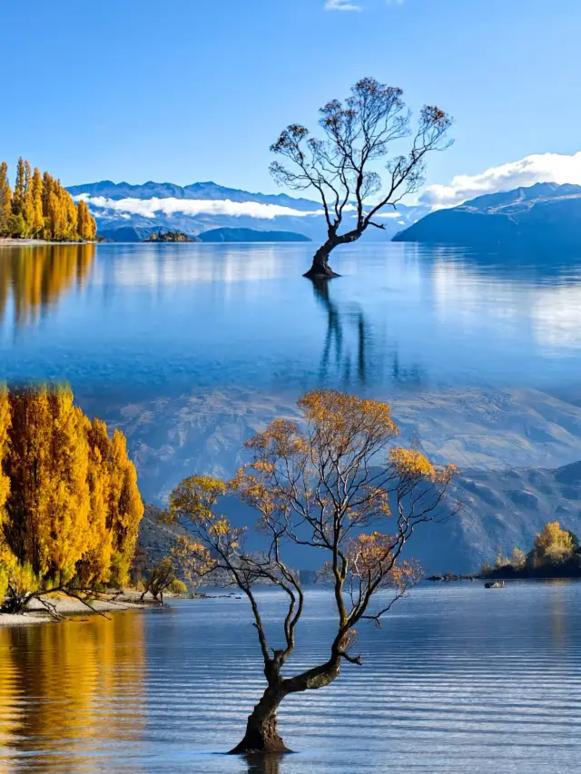 Thought Queenstown was already beautiful, until I went to Wanaka