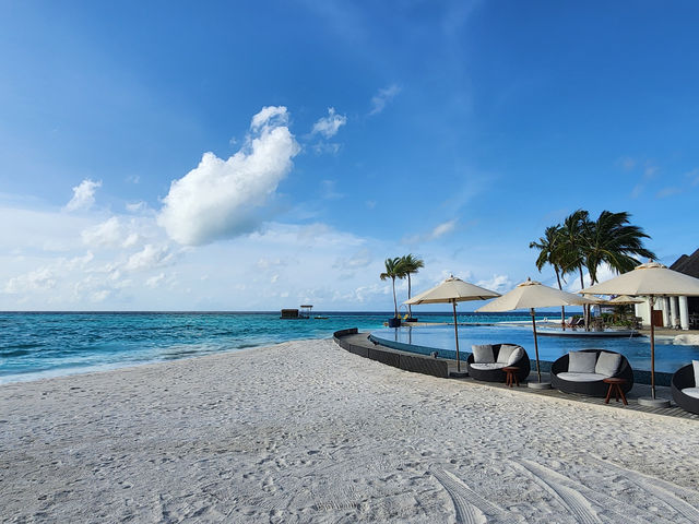 Heartwarming Experience at Avani+ Fares Maldives Heartwarming Experience at Avani+ Fares Maldives