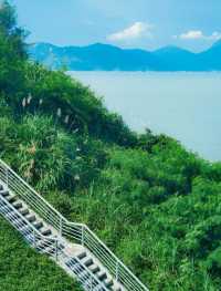 溜娃   桂山島親子漫遊記,解鎖山海間的童趣密碼