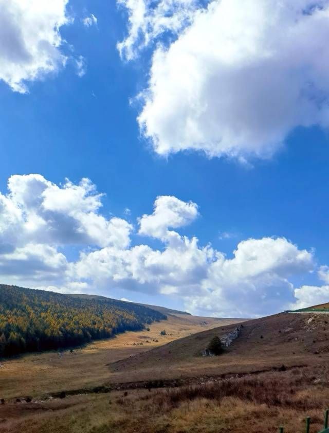 忻州芦芽山 · 探秘北方香格里拉