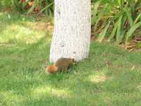 昆明靈魂的後花園——翠湖公園