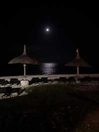 Returning Home: Sugar Beach Experience