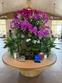 Paradise Found at Fusion Resort & Spa Da Nang