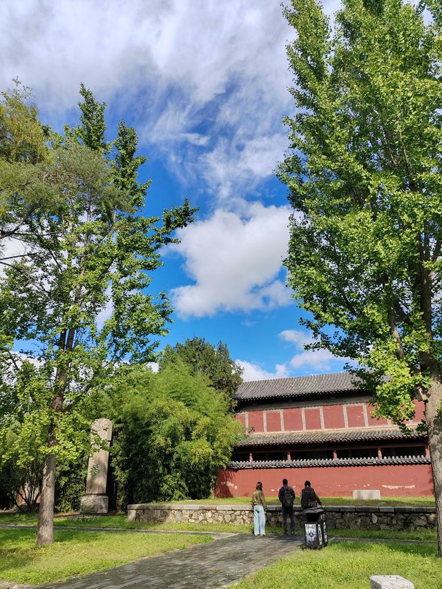 泰安必逛｜岱廟的秋，是刻在骨子裡的中式浪漫