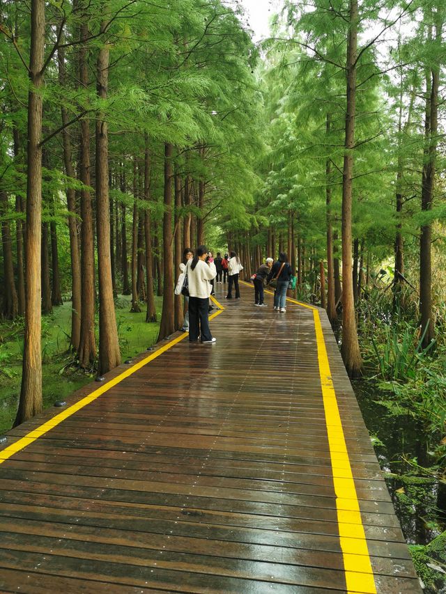 【江蘇省徐州市】雲龍湖風景區。 【江蘇省徐州市】雲龍湖風景區。