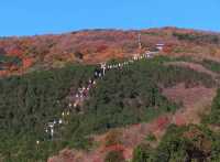 北京彩葉進入最佳觀賞期，這份秋日打卡攻略請收好！