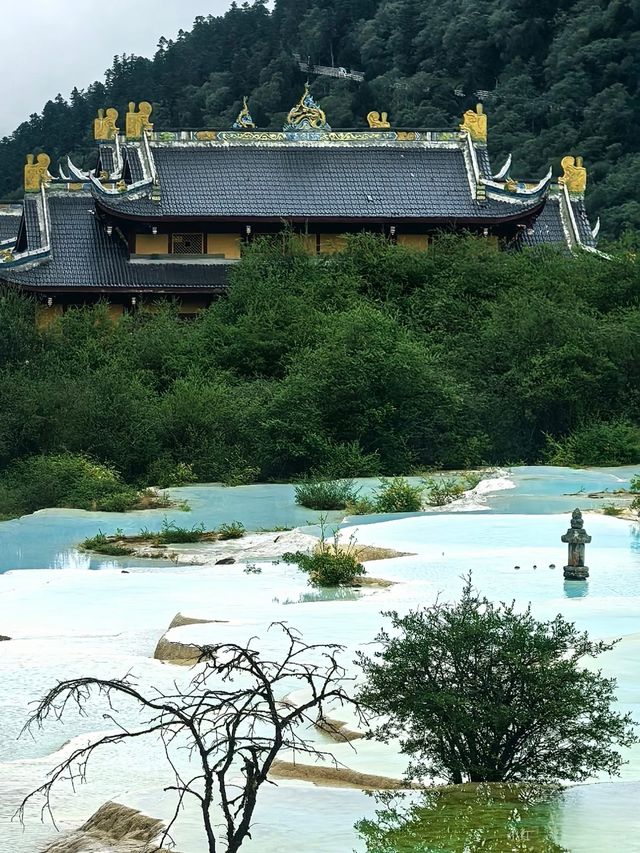 追秋記：四色秋水入畫來
