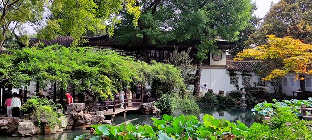 綠意依然、鮮花盛開的留園