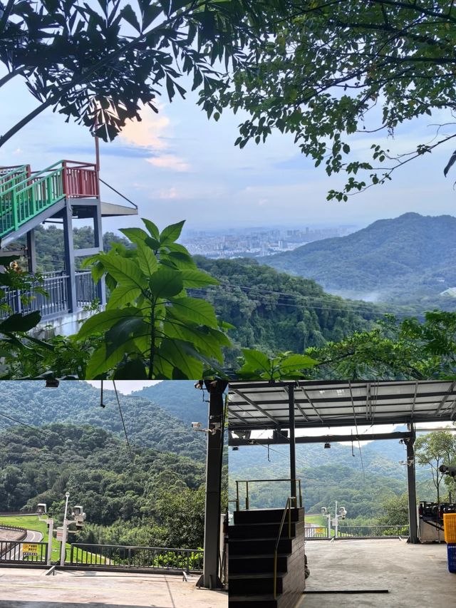 飛越白雲山！白雲飛索刺激風景雙在線！