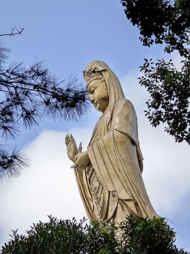 特種兵暴走攻略｜杭州普陀山一日往返，徒步20公里
