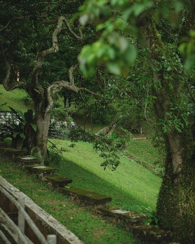 吉隆坡私藏！免費殖民風植物園+1h車程森林民宿，打工人週末躺