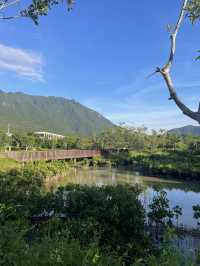深圳最美濕地公園徒步攻略