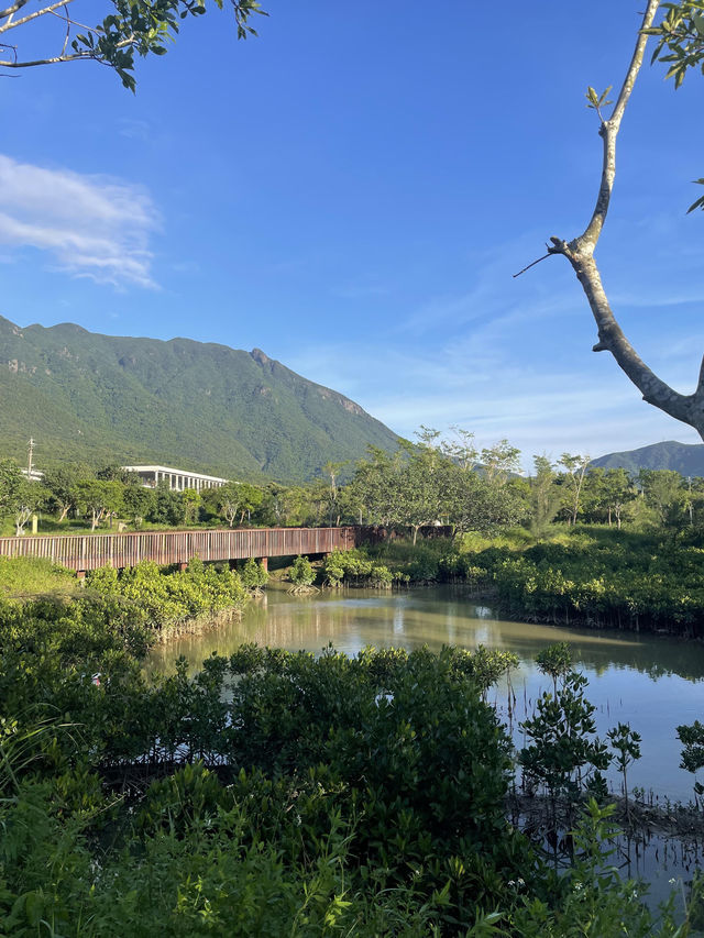 深圳最美濕地公園徒步攻略