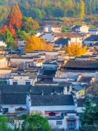 徐霞客誠不欺我黃山日出雲海絕了