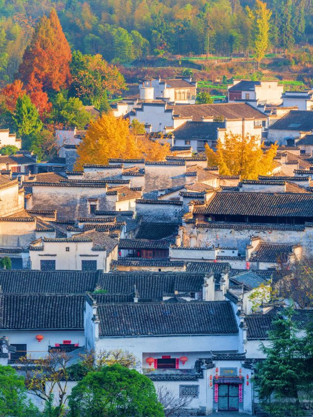 徐霞客誠不欺我黃山日出雲海絕了