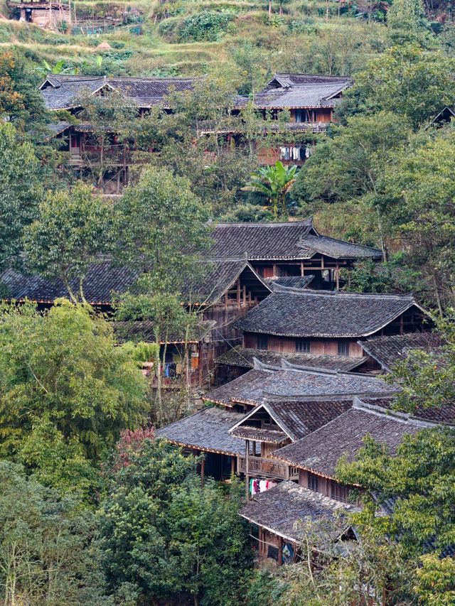 藏在湘西南的「古樹王國」，竟藏著土樓歷史蹤影！