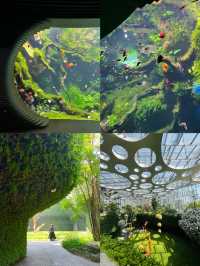 上海溫室花園深度遊攻略:藏在都市裡的自然仙境