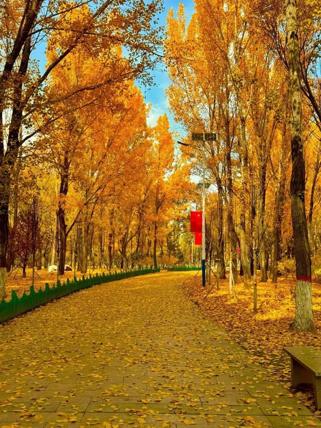 葫蘆”裡賣的是什麼藥?大同這個村,藏著讓乾隆都流口水的“寶貝” 葫蘆”裡賣的是什麼藥?大同這個村,藏著讓乾隆都流口水的“寶貝”