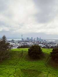 Meadow Magic Auckland🌱🌋 Mount Eden Lookout: Auckland's Ultimate 360° View!