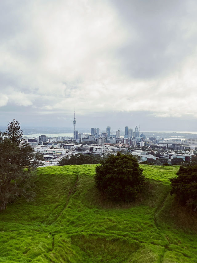 Meadow Magic Auckland🌱🌋 Mount Eden Lookout: Auckland's Ultimate 360° View!