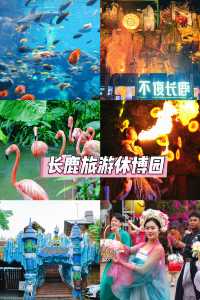 廣佛周邊遊長鹿旅遊休博園親子遊攻略