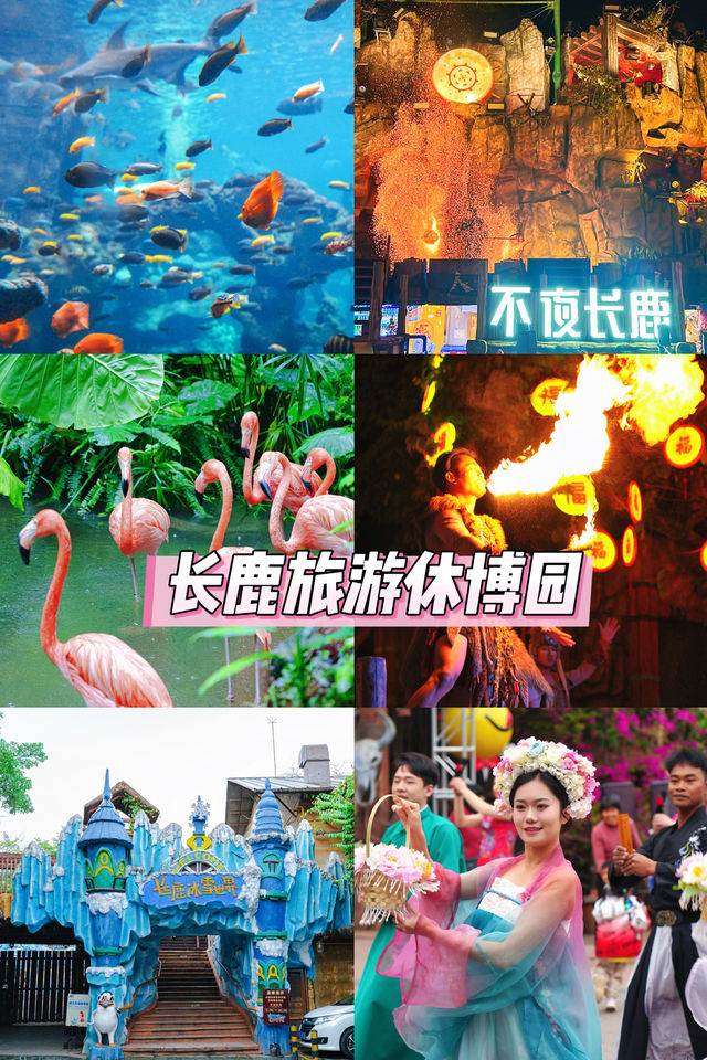 廣佛周邊遊長鹿旅遊休博園親子遊攻略