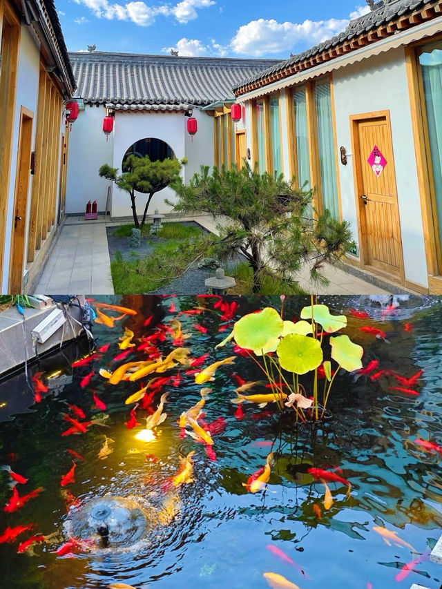 忻州古城挖到神仙小院!連住3天哭著不想走 忻州古城挖到神仙小院!連住3天哭著不想走