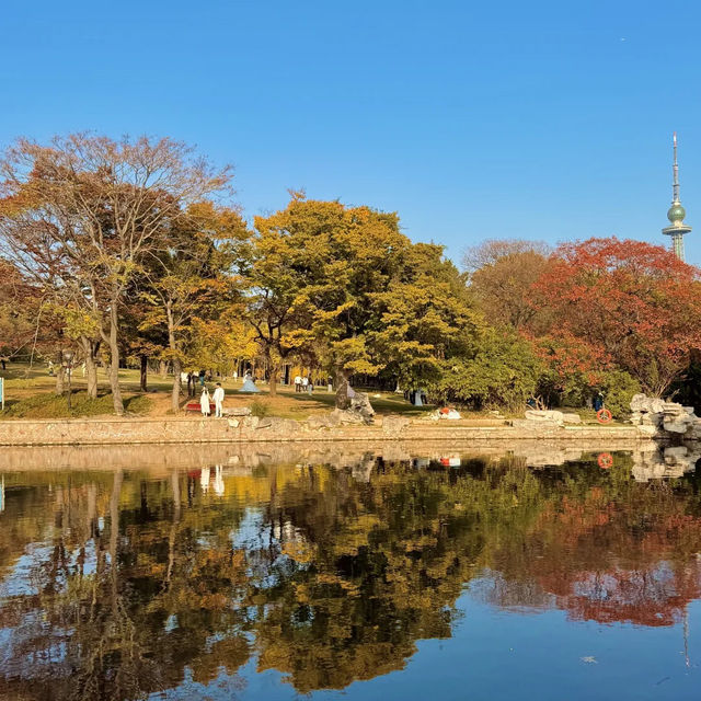  청도의 가을, 이 공원에서 모든 걱정이 사라졌어요 🍂